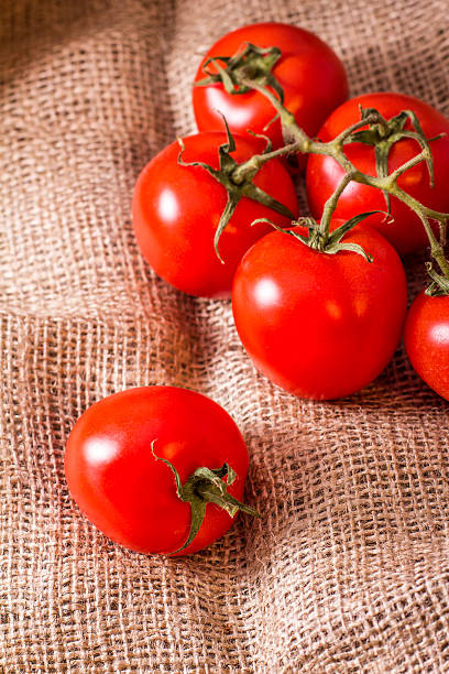 pomidory w juta - healthy eating nature studio shot vertical zdjęcia i obrazy z banku zdjęć