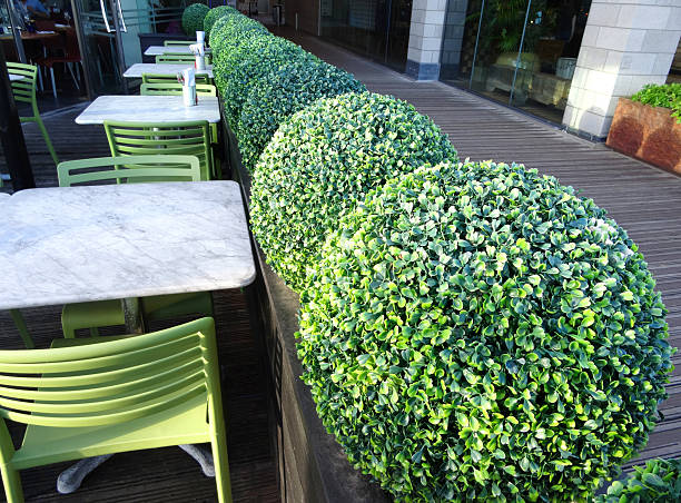 Image of alfresco pavement restaurant tables and chairs, artificial plants