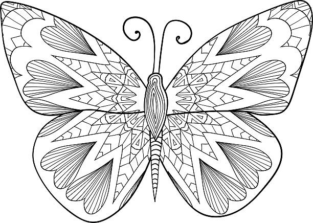 Detailed ornamental sketch of a moth. Pattern for coloring book Detailed ornamental sketch of a moth,Hand drawn for adult anti stress.  adult coloring pages mandala stock illustrations