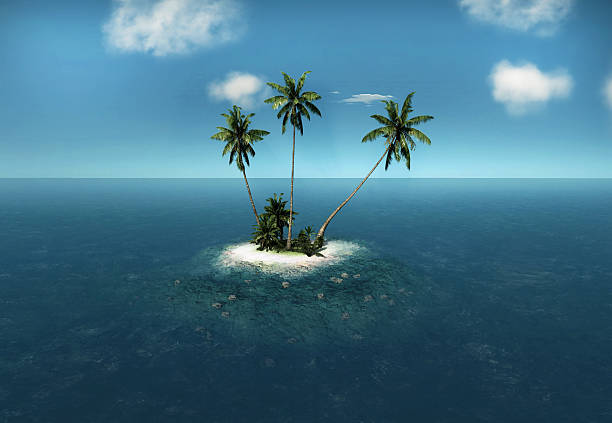 istock tropical island palm trees 517129198