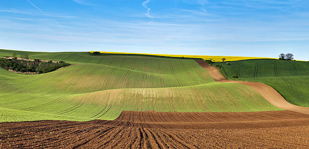 istock Green spring hills. Arable lands in Czech Moravia 517130954