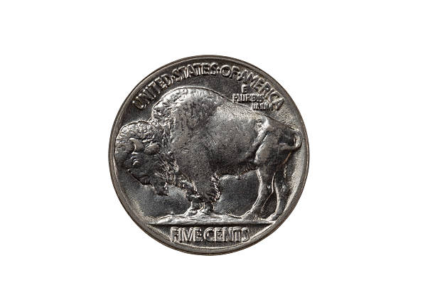 istock Pristine Buffalo Nickel on white background 517132679