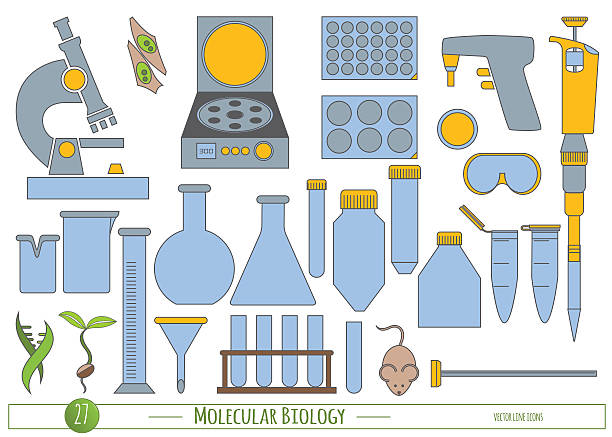 Science icon set Science icon set in trendy flat style. Vector icons for Biology, Biotechnology & Chemistry laboratory protocols & catalogs, product labeling, identity, web site & scientific illustration elements. flask funnel stock illustrations