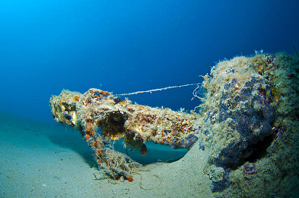 istock Here it is where you hide the seahorse 517132970