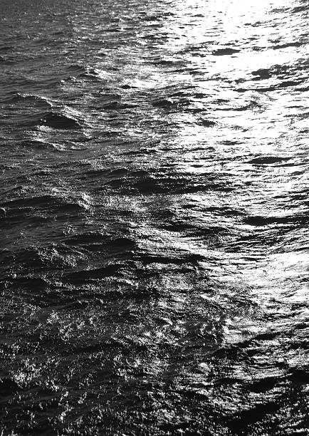 istock Sea sunset. Black and white. 517136230