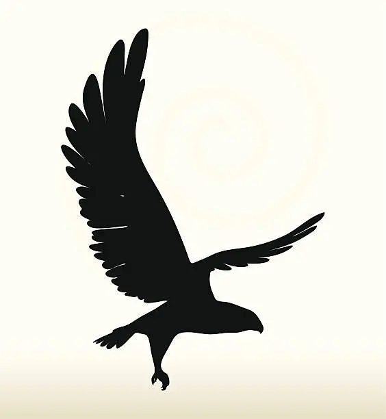 Vector illustration of eagle silhouette