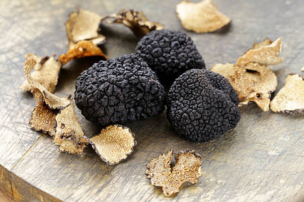 expensive-rare-black-truffle-mushroom-gourmet-vegetable.jpg?s\u003d1024x1024\u0026w\u003dis\u0026k\u003d20\u0026c\u003dohzY_A5GAHZTNtaS5-qtNcdw8AcevFrxLTNkvFsICq0\u003d