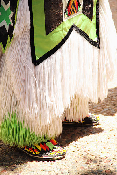 istock Indian Dress Costume 517137473