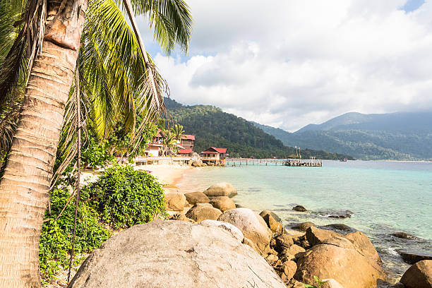 istock Tioman island in Malaysia 517148843