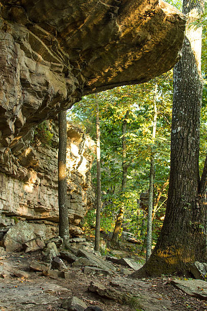 istock Cliff overhang in the woods 517149117