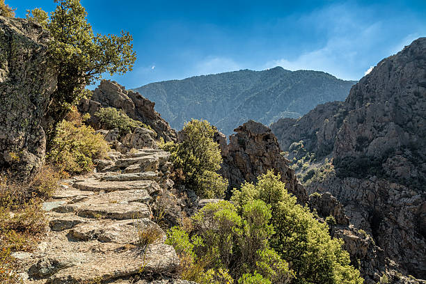 istock Santa Regina trail staircase in central Corsica 517149169