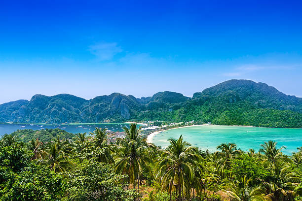 istock Travel vacation background - Phi-Phi island, Thailand, Asia 517149887
