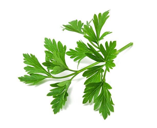 istock fresh green parsley on white background 517149889