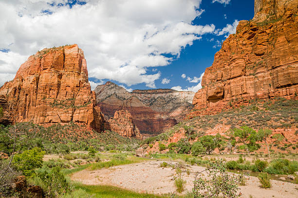 istock landscape from zion national park utah 517150055