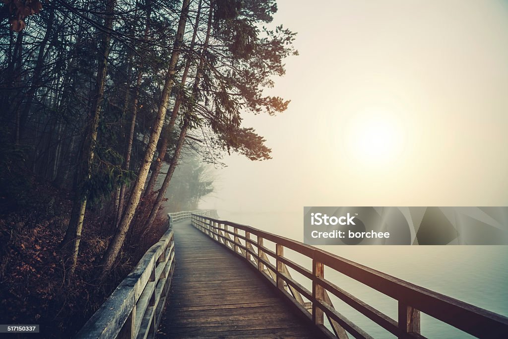 Path By The Lake Wooden footpath by the lake on a foggy morning. Footpath Stock Photo