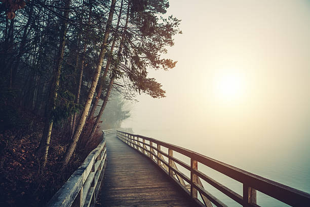 Path By The Lake Wooden footpath by the lake on a foggy morning. footbridge photos stock pictures, royalty-free photos & images