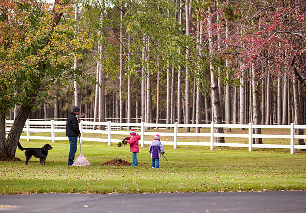 Father & Daughters Raking Leaves Father and daughters raking leaves in autumn on a ranch. rail fence stock pictures, royalty-free photos & images