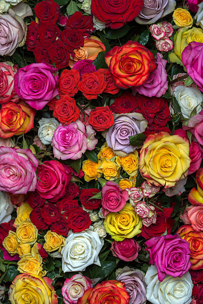 istock bouquet of multicolored roses 517150865