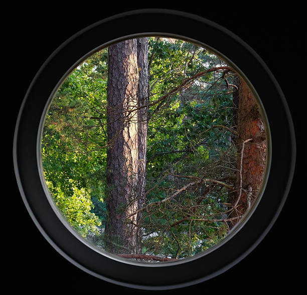 istock Looking out in the nature 517151281