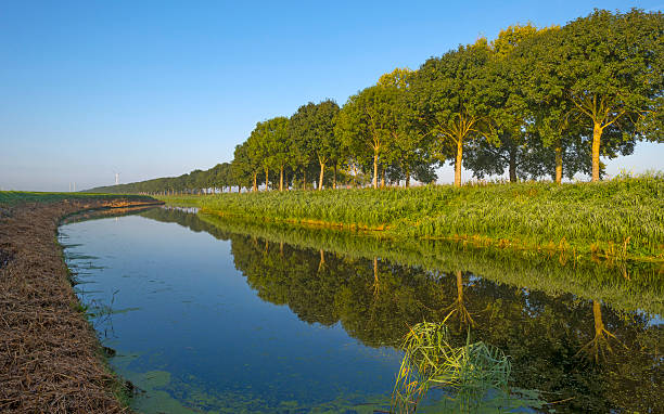 istock Canal through a hazy landscape at sunrise 517151589