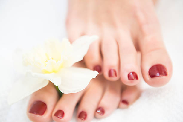 Close-up of Female Feet with Red Pedicure and Flower, Europe stock photo
