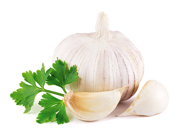 garlic with parsley leaves on a white background stock photo