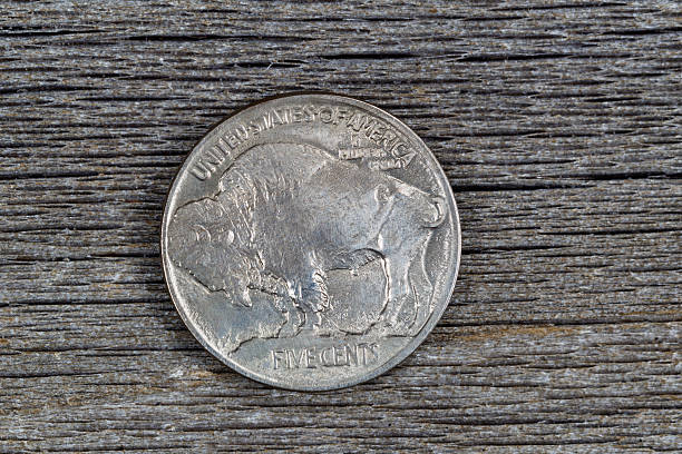 istock American Buffalo Nickel on Rustic Wood 517152469