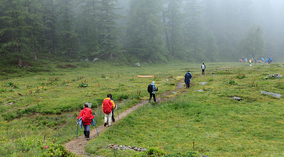 group of hikers walking in the mist