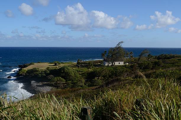istock Tropical Hawaii coastline 517153256