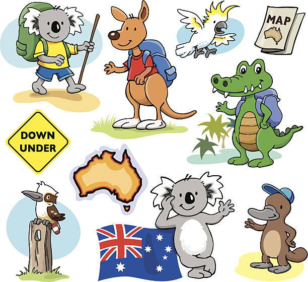 illustrazioni stock, clip art, cartoni animati e icone di tendenza di gli avventurieri australiana - koala australian culture cartoon animal