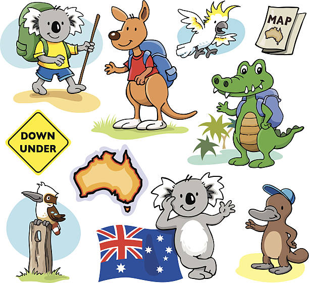 오지 모험가들의 - koala australian culture cartoon animal stock illustrations