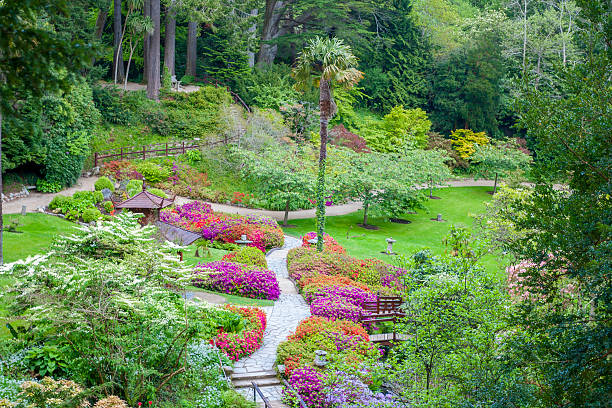 Enniskerry, Ireland - May 11, 2014: Japanese Garden at Powerscourt State. Powerscourt State was voted the third garden in the World by National Geographic in Sniskerry, Ireland on May 11, 2014