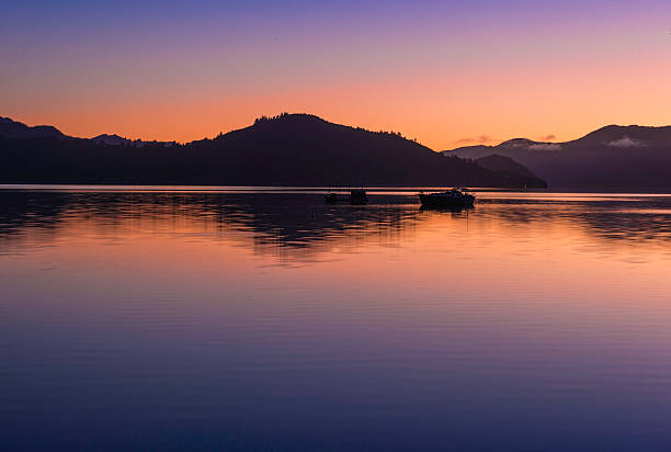 早期の時間 - marlborough region sunrise new zealand sea ストックフォトと画像