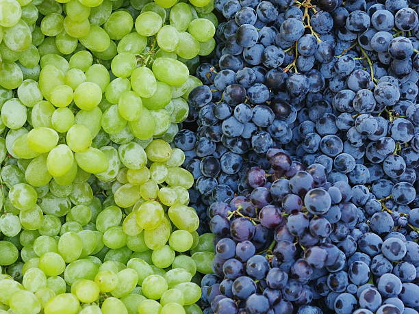 istock market red wine grapes 517155115
