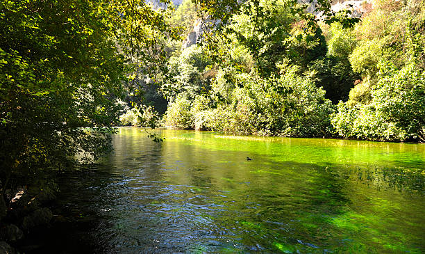 istock Luberon: Fontaine-de-Vaucluse and the river Sorgue 517159546