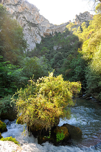 Fontaine-de-Vaucluse is a commune in the Vaucluse department in the Provence-Alpes-Côte d'Azur region in southeastern France.