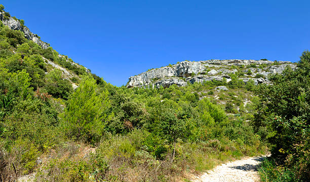 istock Luberon : countryside between Fontaine-de-Vaucluse and Gordes 517160652