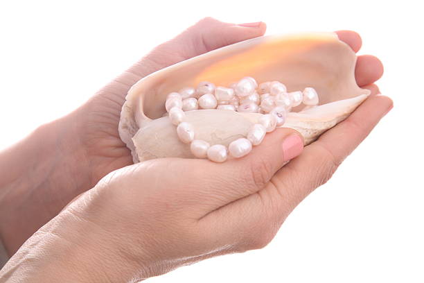 White seashell with pearl necklace inside in beautiful hands