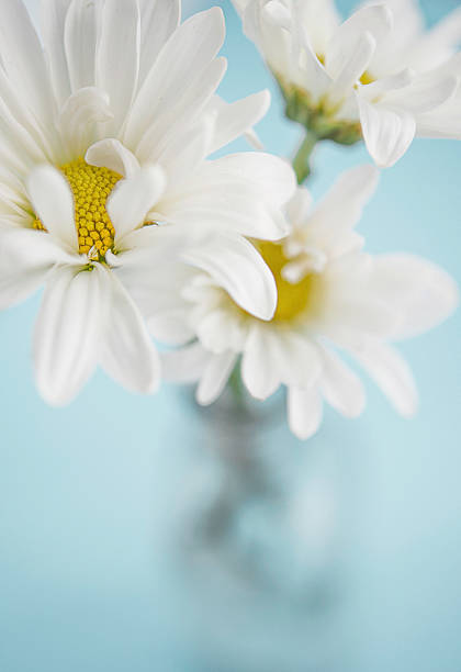 Spring Easter bouquet with fresh white dahlias