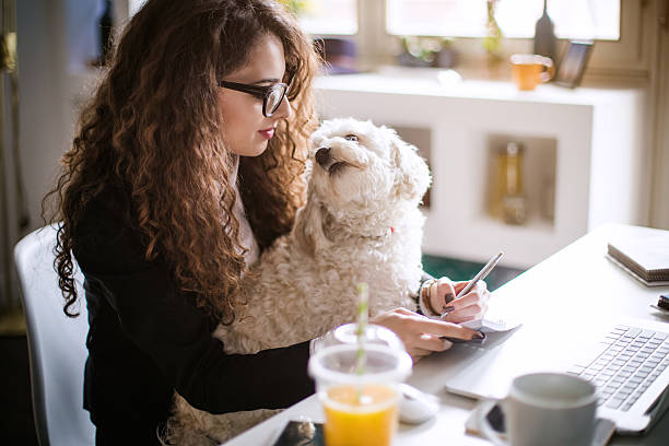 istock Designer working at home office and holding her puppy 517164756