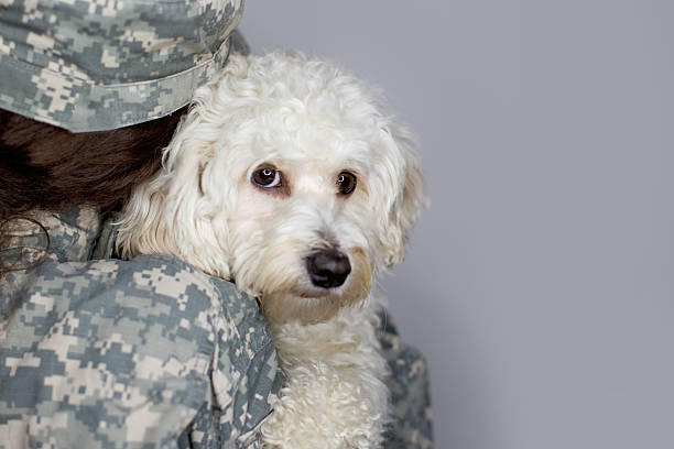 istock I missed you so much! 517165380