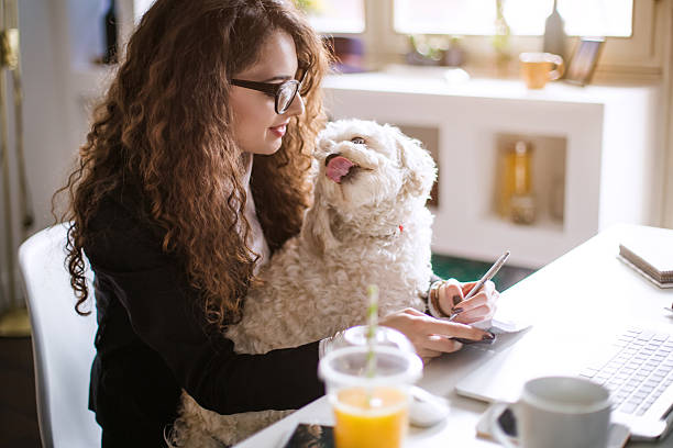 istock I'm taking my dog with me everywhere! 517165706
