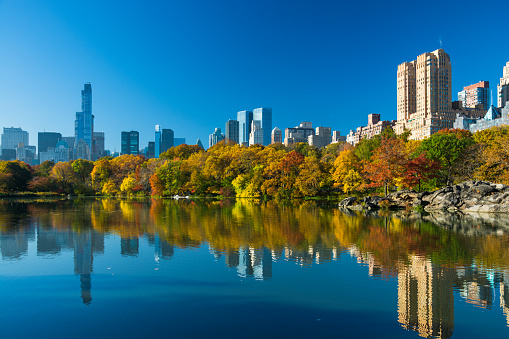 Central Park in Autumn, with a lake in the foreground, multiple colored trees, and Midtown and Upper West Side skyscrapers and skyline in the background.