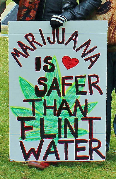 Marijuana Is Safer Than Flint Water Sign lansing, Michigan USA - March 22, 2016: A protest sign during the #StopTheRaids rally in Lansing reminds everyone that medical marijuana use is safer than drinking the water in Flint, Michigan. Flint, approx. one hour east of Lansing, has been featured in international news for the dangerous levels of lead in city-provided water and the health consequences to residents; marijuana is not known to have caused any deaths due to overdose.   flint michigan stock pictures, royalty-free photos & images