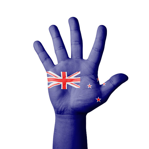 istock Open hand raised,  New Zealand flag painted 517167227