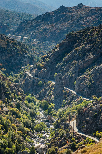 d84 estrada e rio golo de bobinar através central na ilha de córsega - twisty road imagens e fotografias de stock