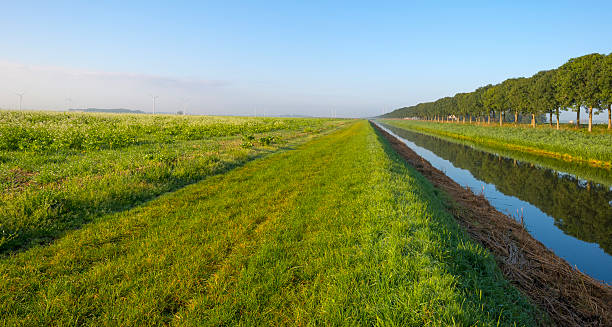 istock Canal through a hazy landscape at sunrise 517167749