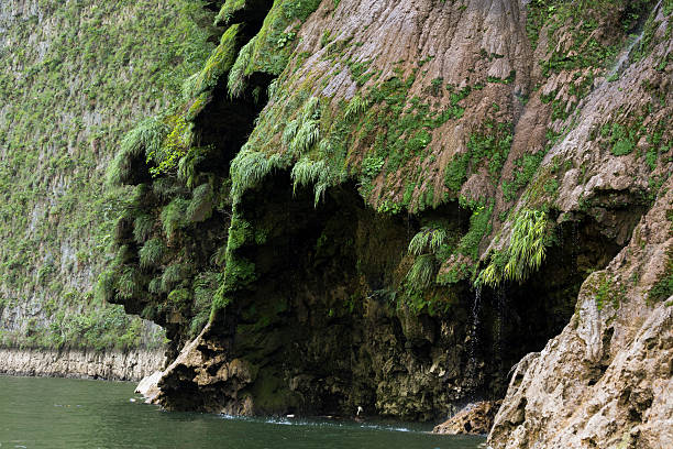 istock Christmas tree Waterfall. Sumidero Cayon, Chiapas, Mexico 517169319