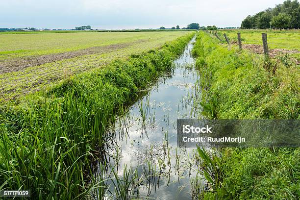 Dutch Polder Landscape In The Summer Season Stock Photo - Download Image Now - Agriculture, Backgrounds, Blue