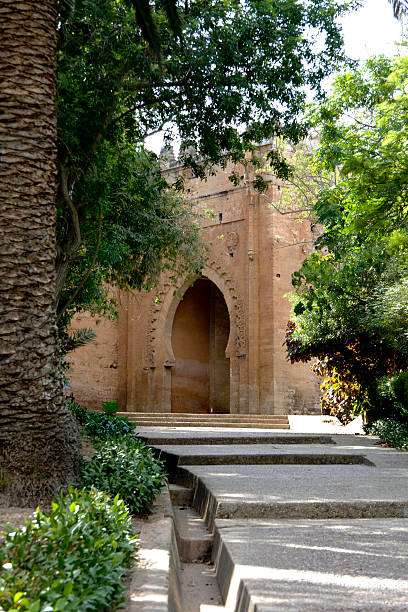 istock Chellah or Sala Colonia Necropolis in Rabat 517171849